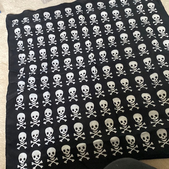 NWOT Skull & Crossbones Collection - Picture 2 of 4